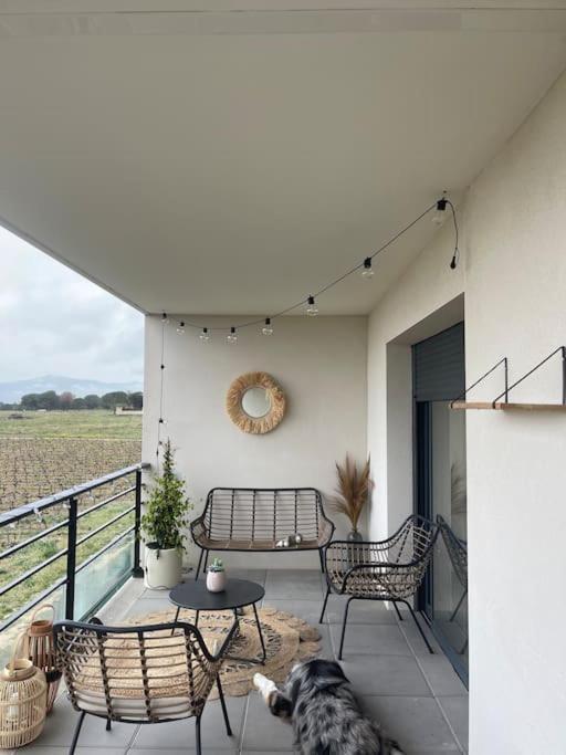 Appartement Vue Vigne بيربينيو المظهر الخارجي الصورة